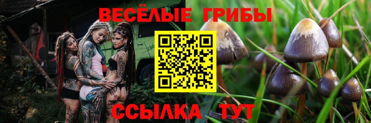 Галлюциногенные грибы GOLDEN TEACHER  Вход с VPN  Кохма 